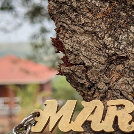 Mars Jungle Adventure Stud Farm With Private Jacuzzi Villa Narsinge Exterior foto