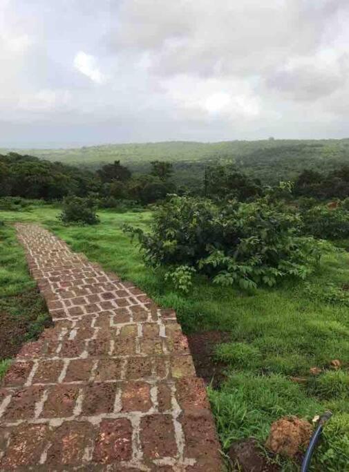 Mars Jungle Adventure Stud Farm With Private Jacuzzi Villa Narsinge Exterior foto