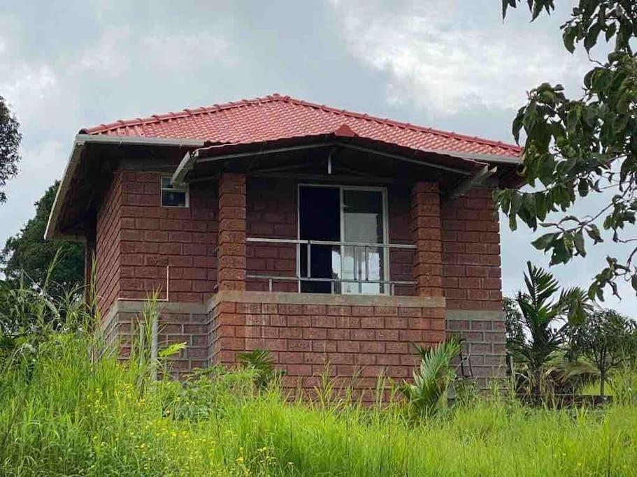 Mars Jungle Adventure Stud Farm With Private Jacuzzi Villa Narsinge Exterior foto