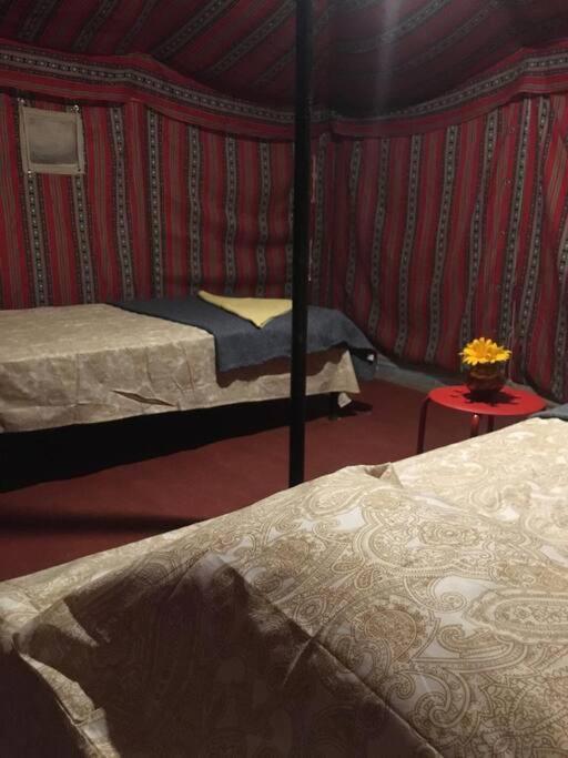 Mars Jungle Adventure Stud Farm With Private Jacuzzi Villa Narsinge Cameră foto