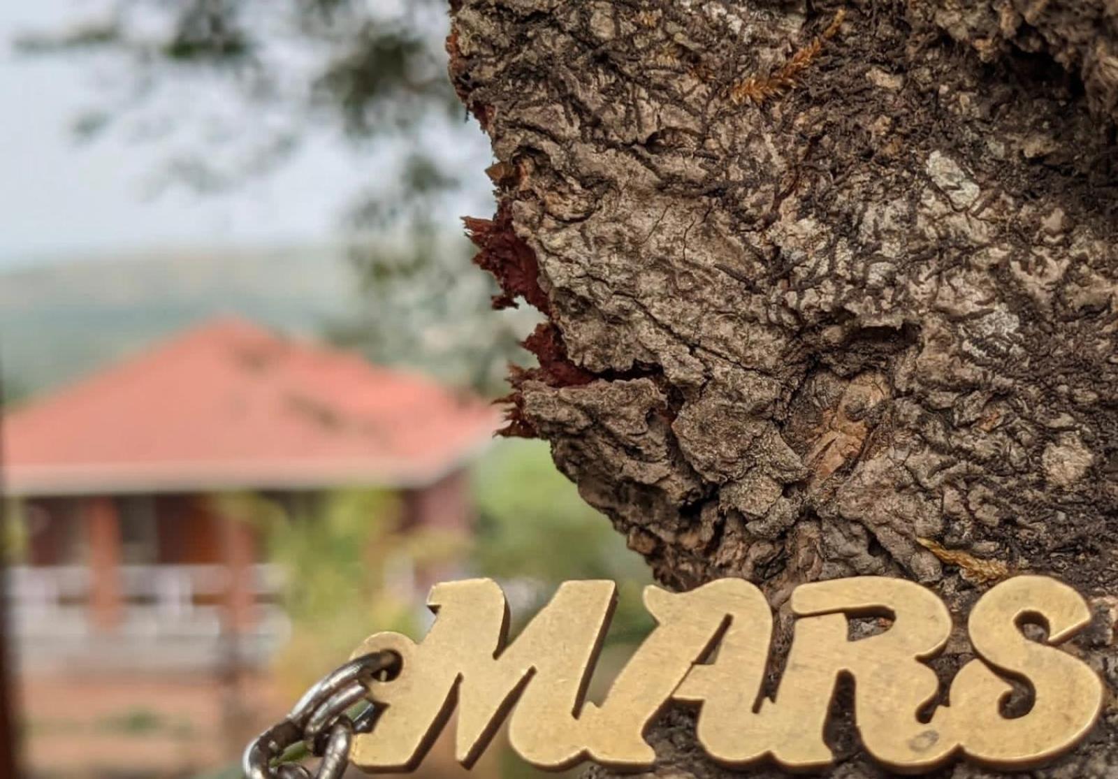 Mars Jungle Adventure Stud Farm With Private Jacuzzi Villa Narsinge Exterior foto