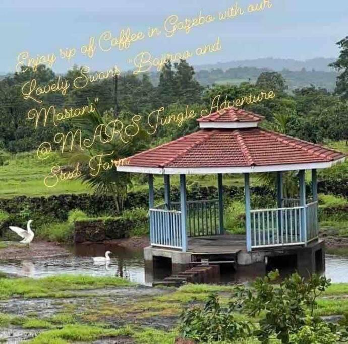 Mars Jungle Adventure Stud Farm With Private Jacuzzi Villa Narsinge Exterior foto
